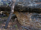 photo thumbnail #12