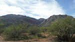photo thumbnail #6