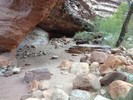 photo thumbnail #2