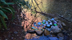 photo thumbnail #13