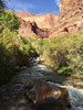 2014-10-16 :1: Deer Creek / Thunder River :: chumley
