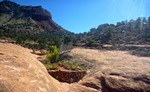 photo thumbnail #6
