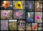 photo thumbnail #14