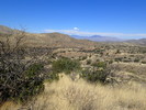 photo thumbnail #1