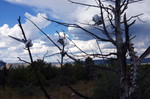 photo thumbnail #9