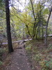 photo thumbnail #6