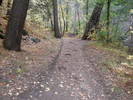 photo thumbnail #8