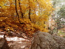photo thumbnail #13