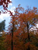 photo thumbnail #15
