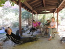 photo thumbnail #8