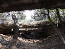 photo thumbnail #2