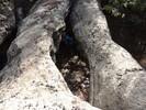 photo thumbnail #6