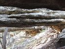 photo thumbnail #8