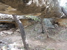 photo thumbnail #11