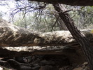 photo thumbnail #12
