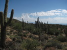 photo thumbnail #4