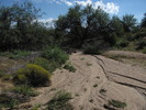 photo thumbnail #7