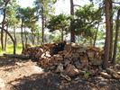 photo thumbnail #7