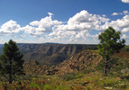 photo thumbnail #14