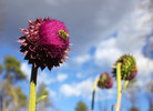 photo thumbnail #5