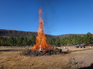 photo thumbnail #2