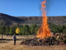 photo thumbnail #1