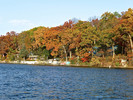 photo thumbnail #8