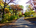 photo thumbnail #14