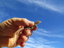 photo thumbnail #2