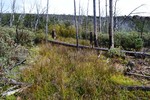 2014-10-15 :3: Rock Creek/Barnhardt Loop :: ASUAviator