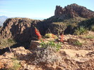 photo thumbnail #1