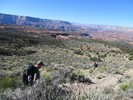 photo thumbnail #5