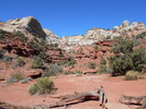 photo thumbnail #2