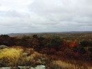 photo thumbnail #7