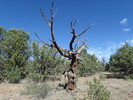 photo thumbnail #1