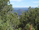 photo thumbnail #11