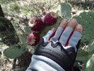 photo thumbnail #12