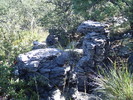 photo thumbnail #3