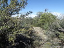 photo thumbnail #8
