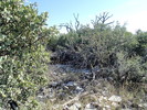 photo thumbnail #11