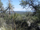 photo thumbnail #12