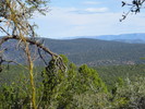 photo thumbnail #13