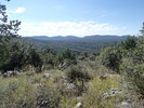 photo thumbnail #15