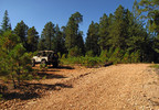 photo thumbnail #1