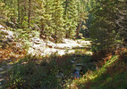 photo thumbnail #5