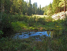photo thumbnail #7