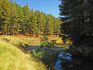 photo thumbnail #13