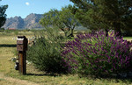 photo thumbnail #6
