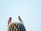 photo thumbnail #2