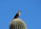 photo thumbnail #11